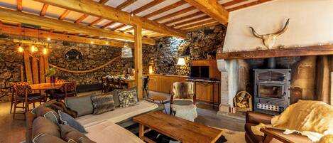 Televisie, een open haard, een dvd-speler en boeken