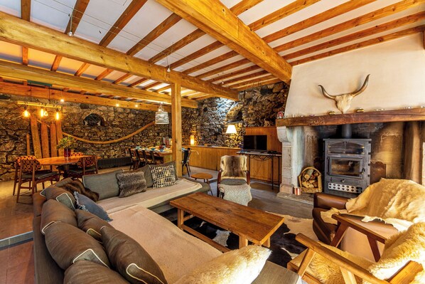 Fernseher, Kamin, DVD-Player, Bücher