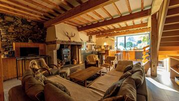 Televisio, takka, DVD-soitin, kirjoja