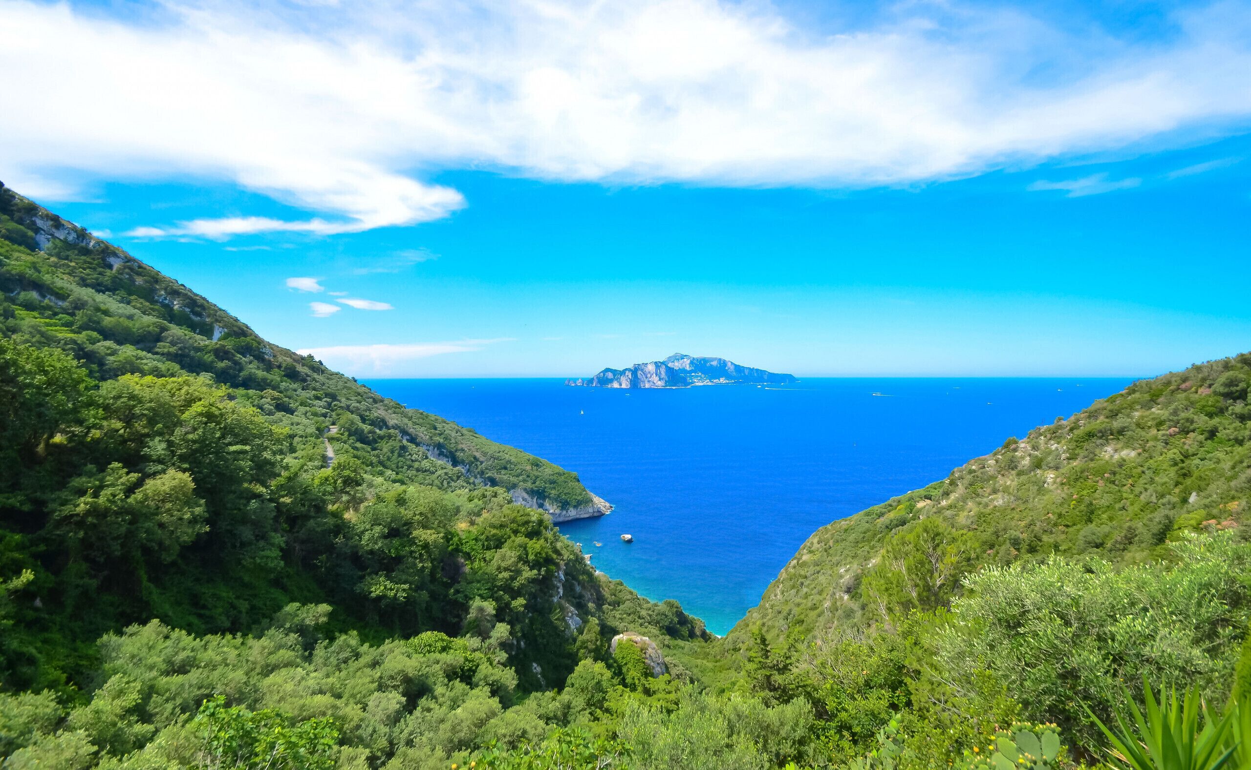 A coastal landscape with a prominent island in the distance, surrounded by lush greenery and clear blue waters.