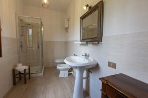 Shower, hair dryer, bidet, towels