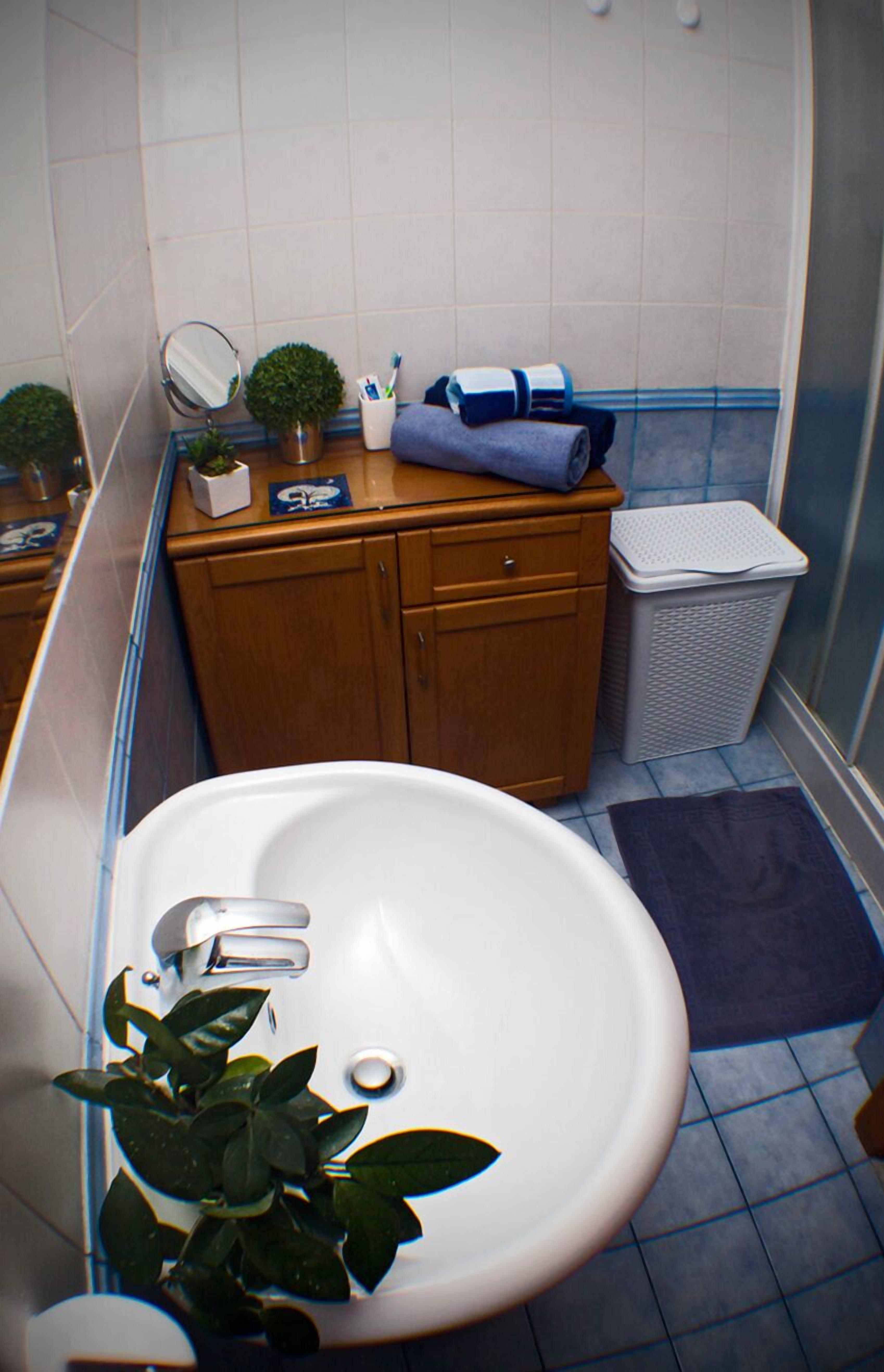 Un baño con un lavabo blanco, armarios de madera, un espejo y una pequeña planta en maceta.