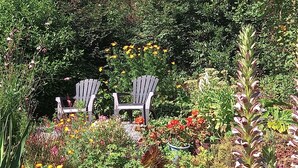 A garden with two Adirondack chairs, surrounded by various plants and flowers. - Family home in country with pool, lovely private gardens. Sleeps 6             (Jugon-Les-Lacs - Commune Nouvelle)