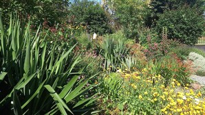 Property grounds - Family home in country with pool, lovely private gardens. Sleeps 6             (Jugon-Les-Lacs - Commune Nouvelle)