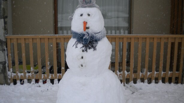 A snowman with a carrot nose and a blue scarf in front of a wooden fence with a window in the background.