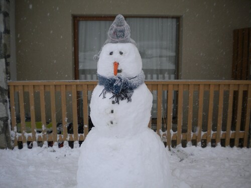 friendly family apartment in ski resort