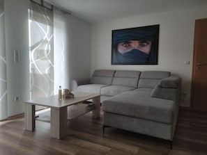 Smart TV, chimenea, reproductor de DVD y libros