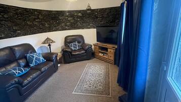 Smart TV, fireplace, DVD player, books