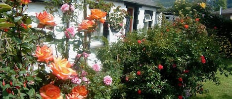 Una casa blanca con techo inclinado, rodeada de un jardín con diversas plantas florecientes y una montaña al fondo.