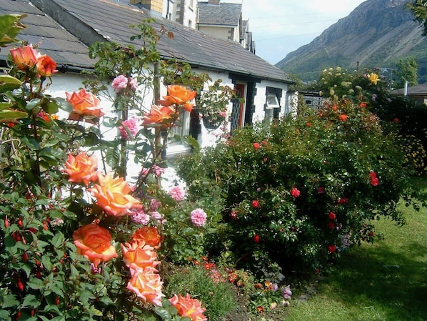 Exterior detail - Seaside Cottage, Dogs Welcome - good walks, by beach & Snowdonia National Park (Llanfairfechan)