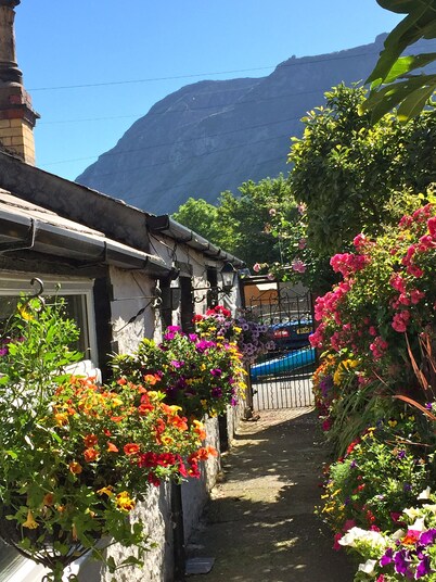 Seaside Cottage, se admiten perros, cerca de la playa y el Parque Nacional Snowdonia