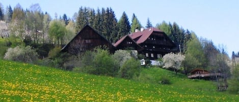 Aussenbereich