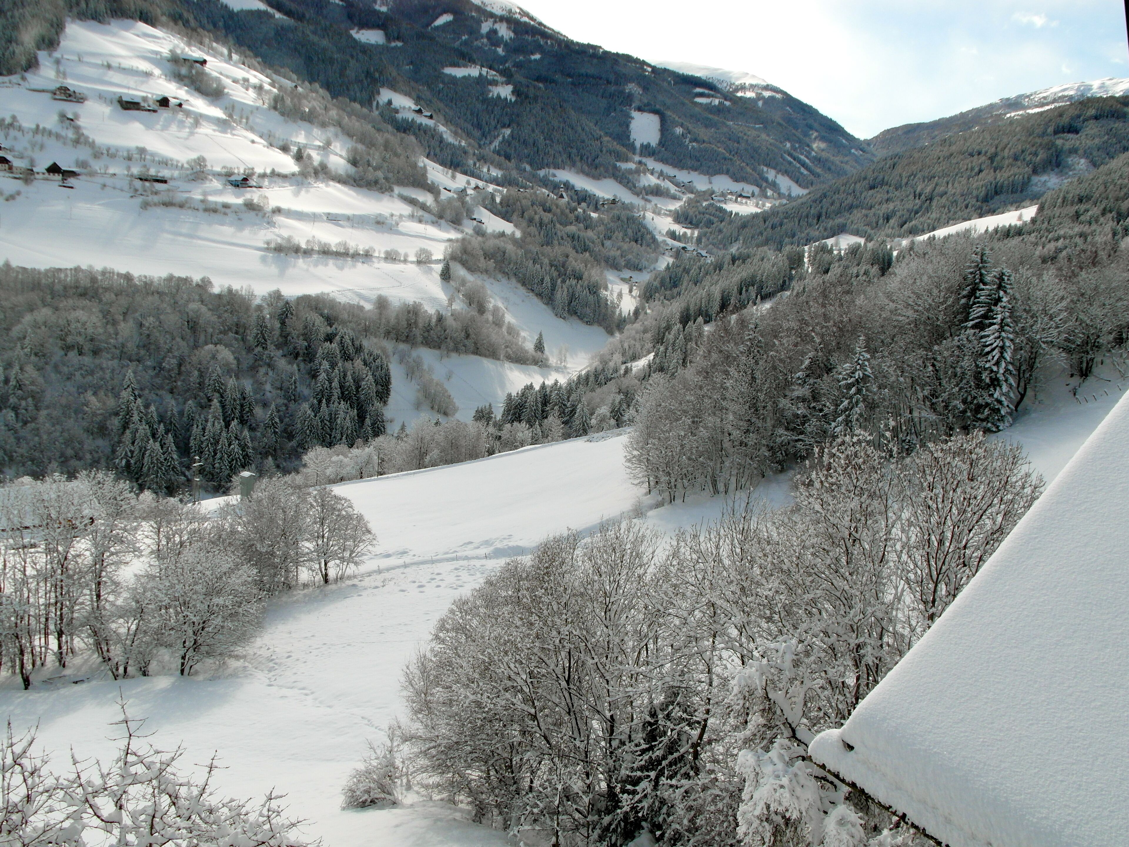 A snow-covered valley with dense forests and a mountain in the background.