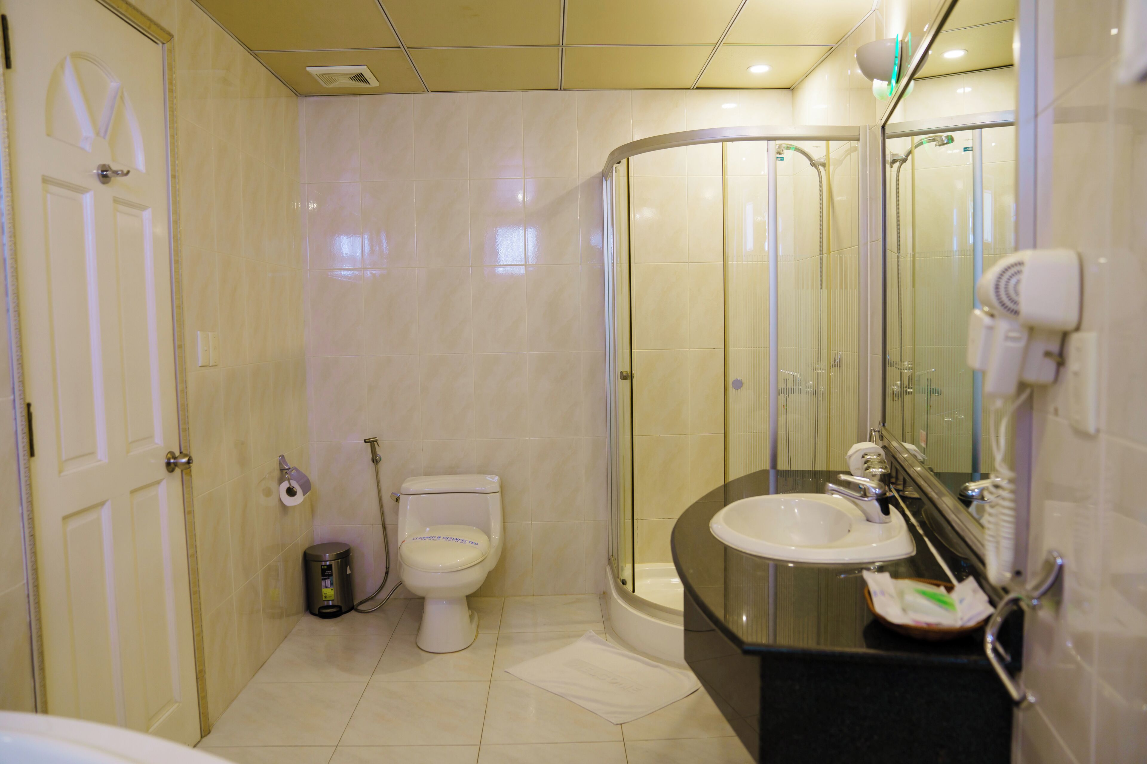 Un baño con inodoro, lavabo, ducha y secador de pelo.