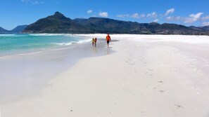 Una playa cerca, sillas reclinables de playa