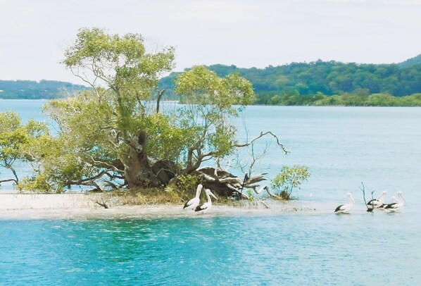 Pemandangan dari hartanah