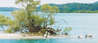 Coomera Houseboat Holidays