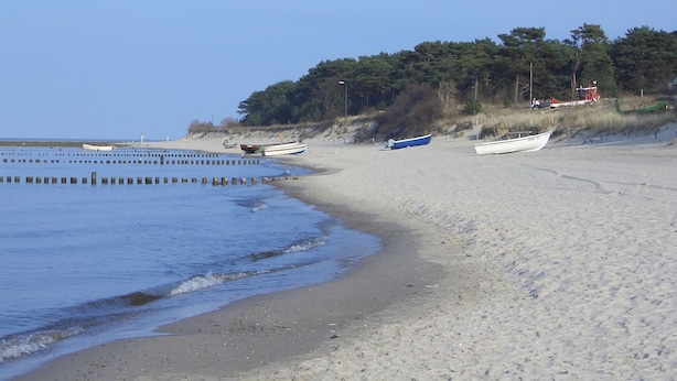 Ein Strand mit mehreren Booten, einer sandigen Küste und einer bewaldeten Gegend im Hintergrund.
