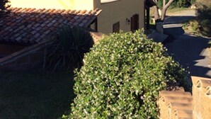 Una casa amb teulada de rajola, un petit jardí i un cel blau clar.