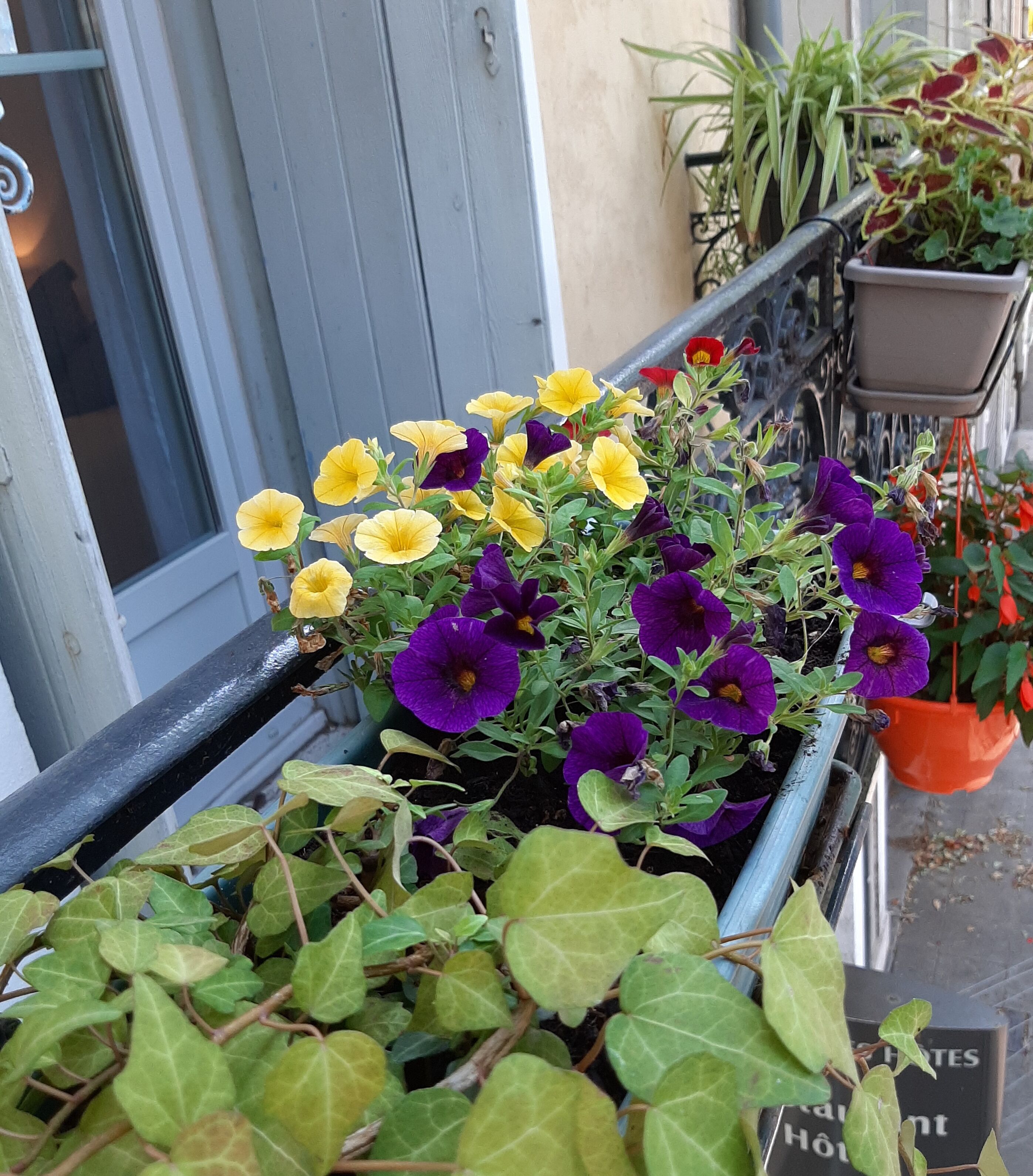 double room, 1 double bed, non smoking | individually decorated, individually furnished, iron/ironing board