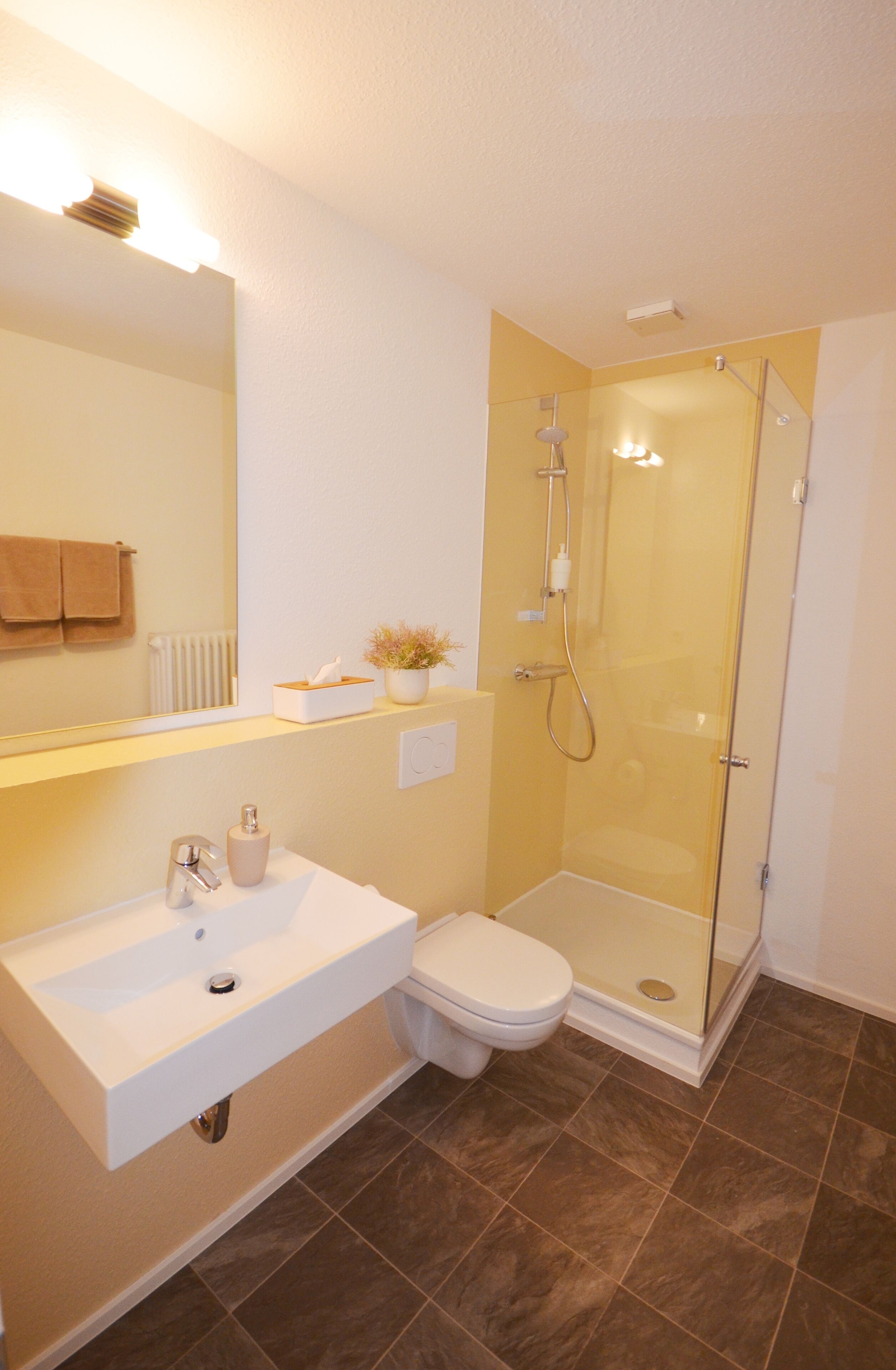 Shower, free toiletries, hair dryer, towels