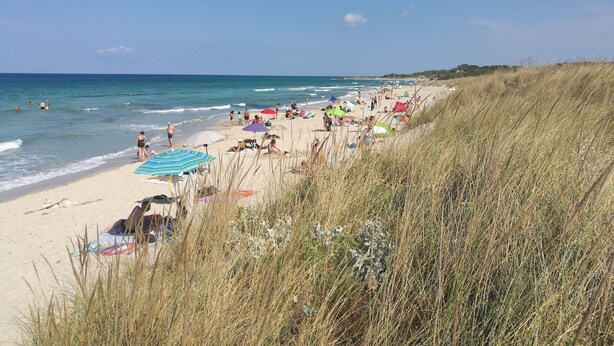Een strand met mensen die zonnebaden en zwemmen, grasduinen en een helderblauwe lucht.