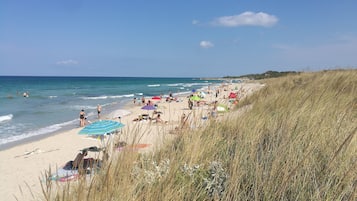 In Strandnähe, Liegestühle