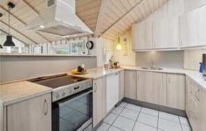 Fridge, stovetop, dishwasher, coffee/tea maker