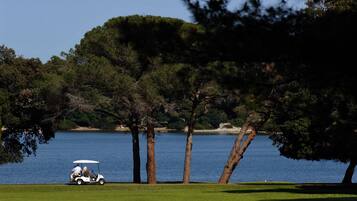 A golf cart on a grassy area near a lake with trees in the background.