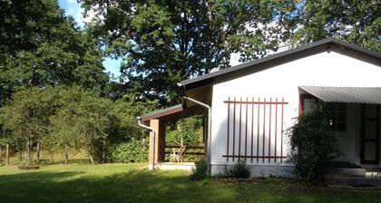 Bungalow am Forsthaus Thursee, 1 Schlafzimmer, Wohnzimmer mit Schlafsofa