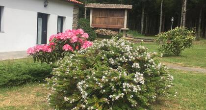 Casa Garea