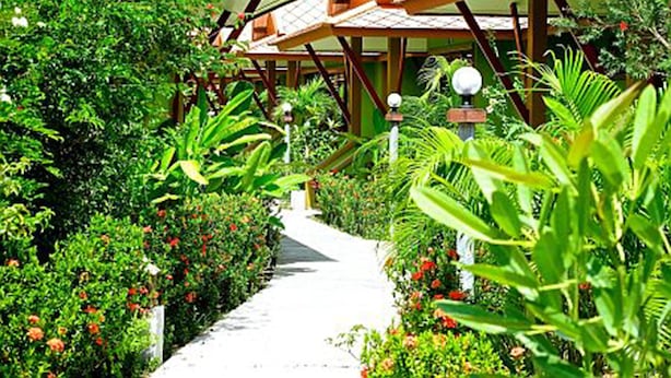 Un sentier bordé d’une végétation luxuriante et d’une rangée de constructions en bois aux toits de tuiles.