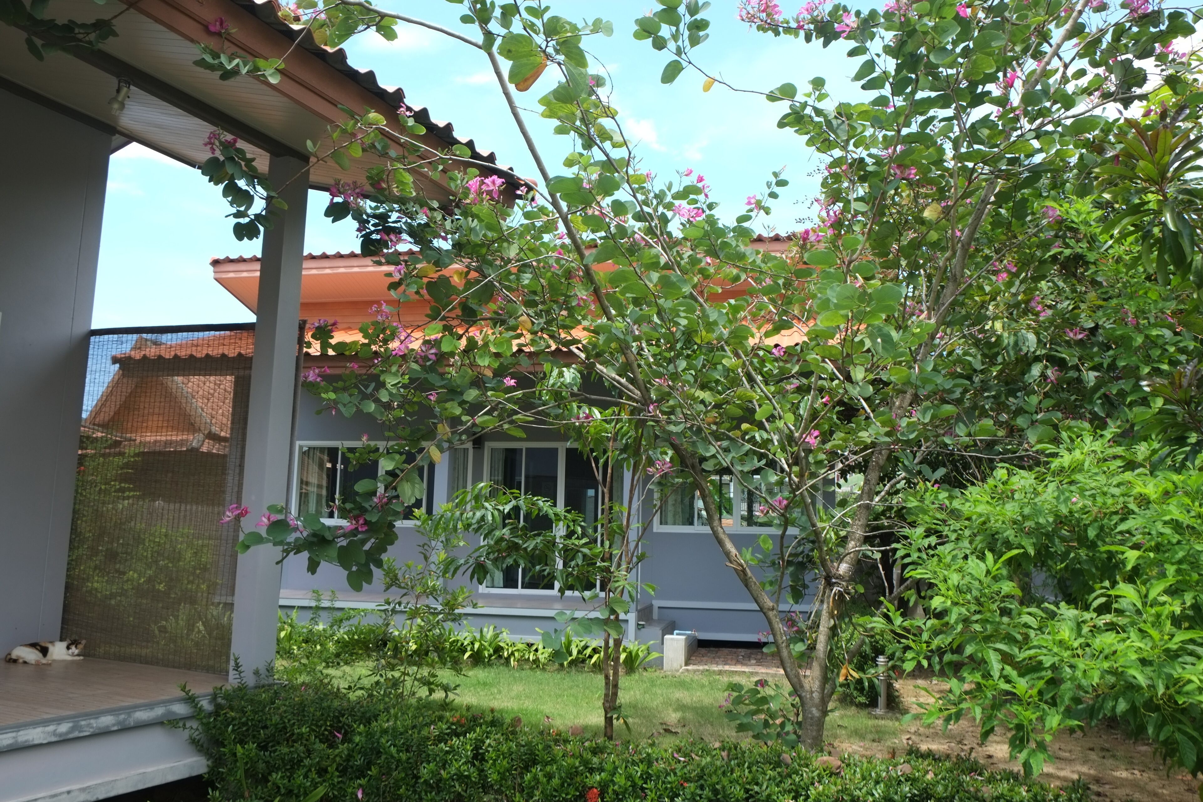 Una casa con porche cubierto, un pequeño jardín y un árbol con flores rosadas.