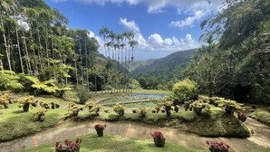 A lush garden with a pond, surrounded by tropical plants and palm trees. - New villa with swimming pool, magnificent view of the caribbean sea, 1 'from the beach (Les Anses-d'Arlet)