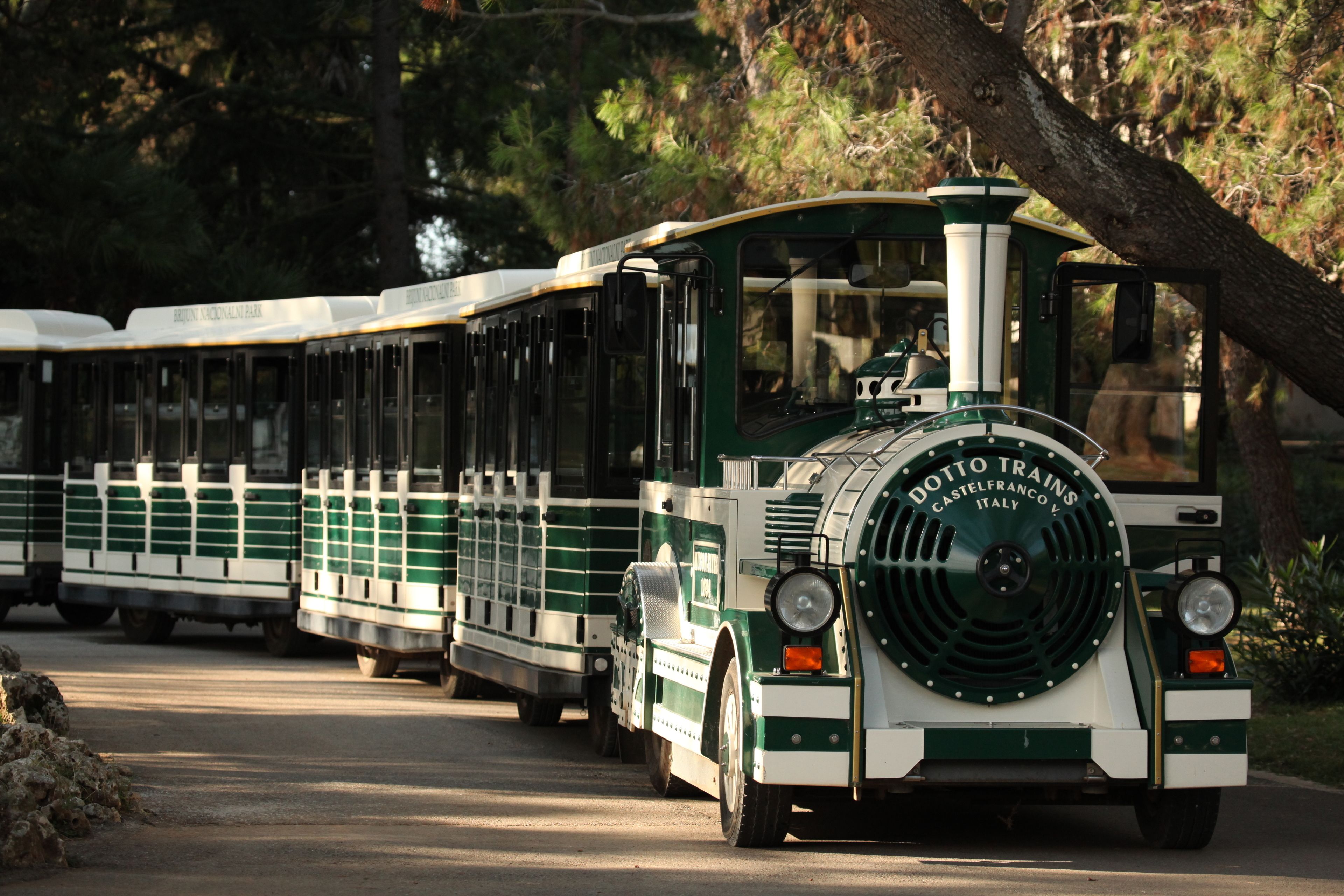 Un tren verde y blanco con la inscripción "Dotto Trains" y "Castelfranco & Vicenza Italy".