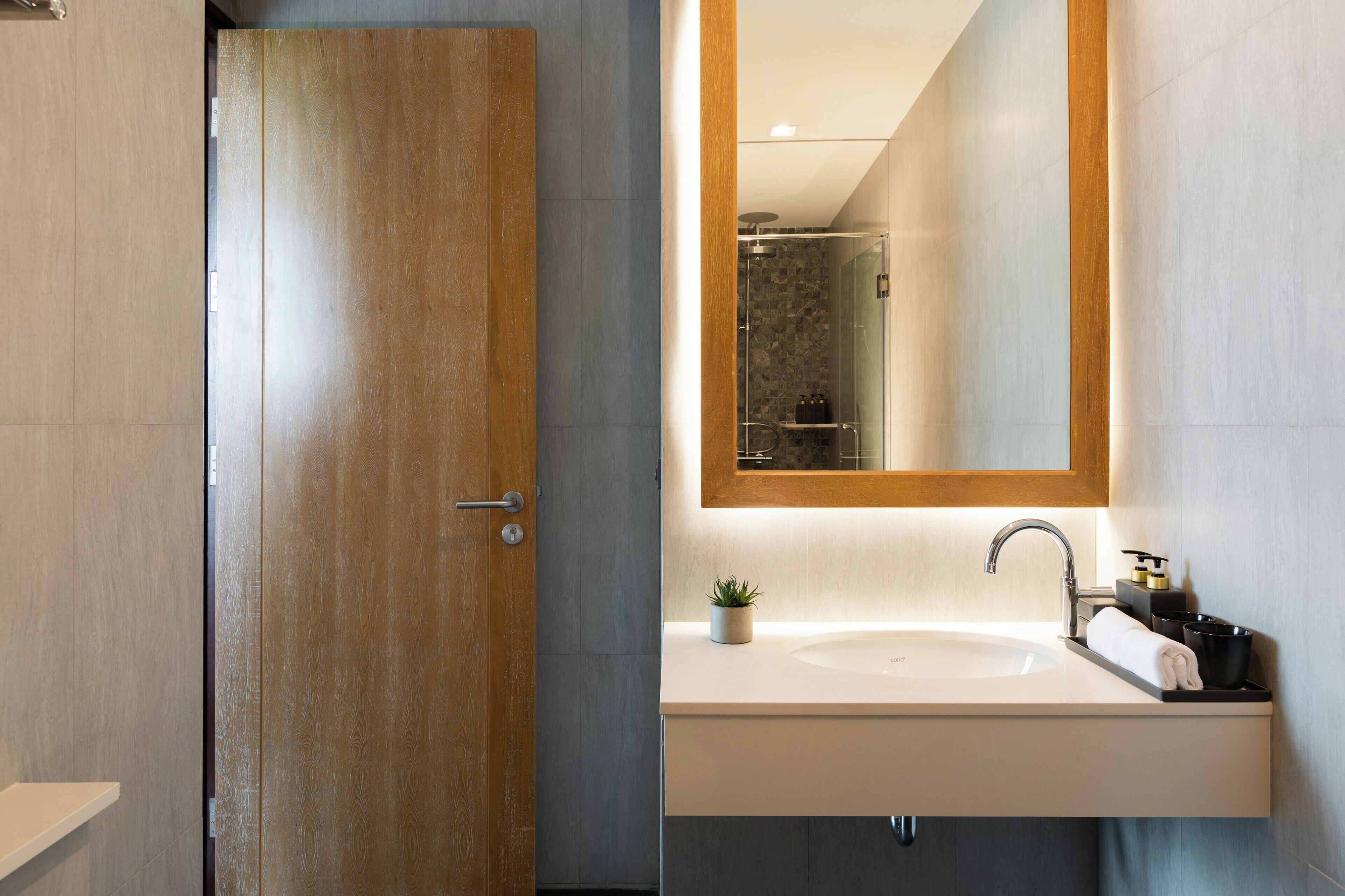 A modern bathroom with a wooden door, a white sink with a mirror above it, and a small plant on the sink.