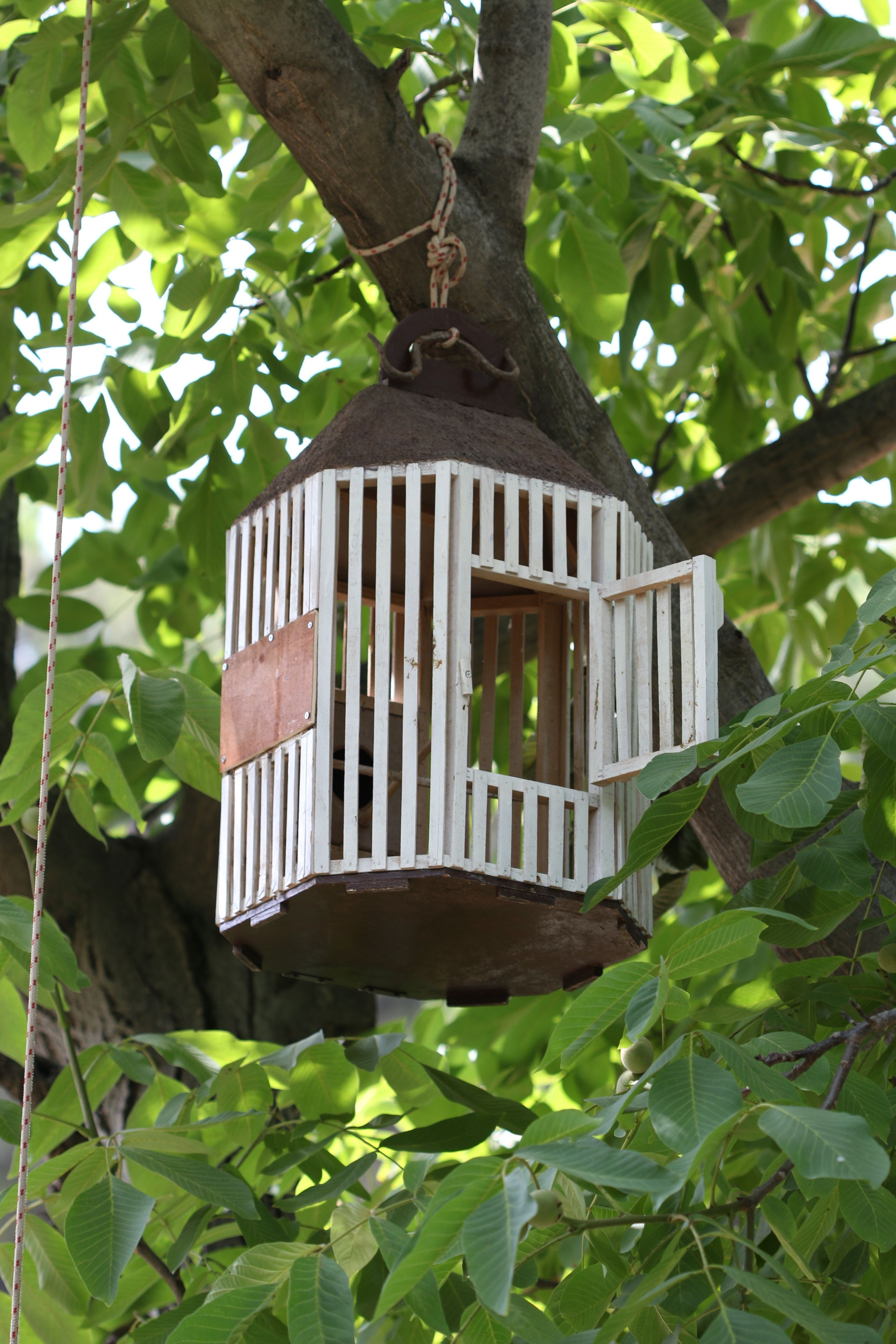 Un comedero de pájaros de madera colgando de una rama de árbol.
