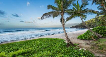 T2 Gemütliche 100 m vom Strand und allen Annehmlichkeiten