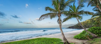 T2 Cozy 100m from the beach and all amenities