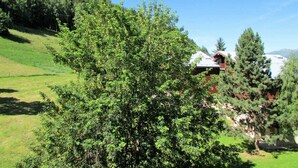 A house surrounded by lush greenery and a clear blue sky. - Divisible studio for 3, near shops and slopes, free parking, balcony (Bellentre)