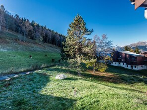 A hillside with a grassy area, a few cows grazing, a large tree, and a building with a sloped roof.