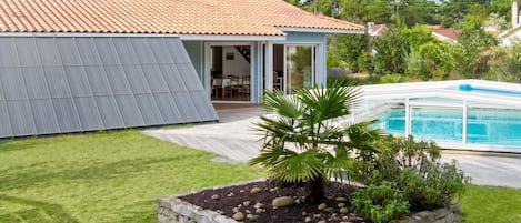 A house with a tiled roof, a swimming pool, and a garden with a palm tree.