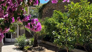 Property grounds - 12 minutes from Porticcio, charming house, 3 air-conditioned bedrooms with a garden terrace (Cauro)