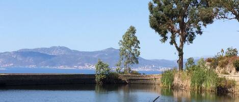 A calm lake with a tree in the foreground and mountains in the background.