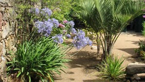 A patio area with a stone wall, various plants, and a chair. - 12 minutes from Porticcio, charming house, 3 air-conditioned bedrooms with a garden terrace (Cauro)