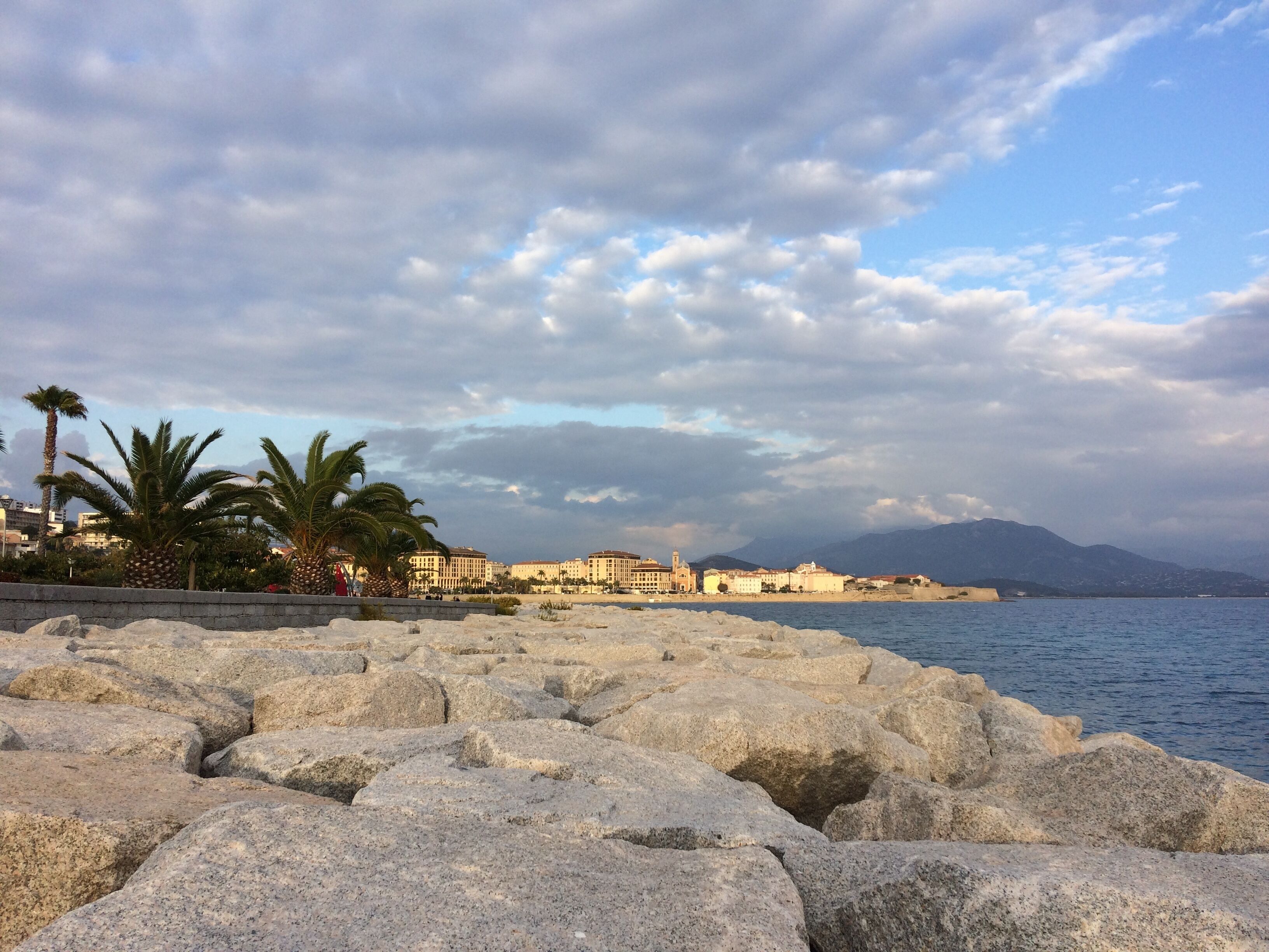 A coastal scene with large rocks in the foreground, palm trees, and buildings in the background.