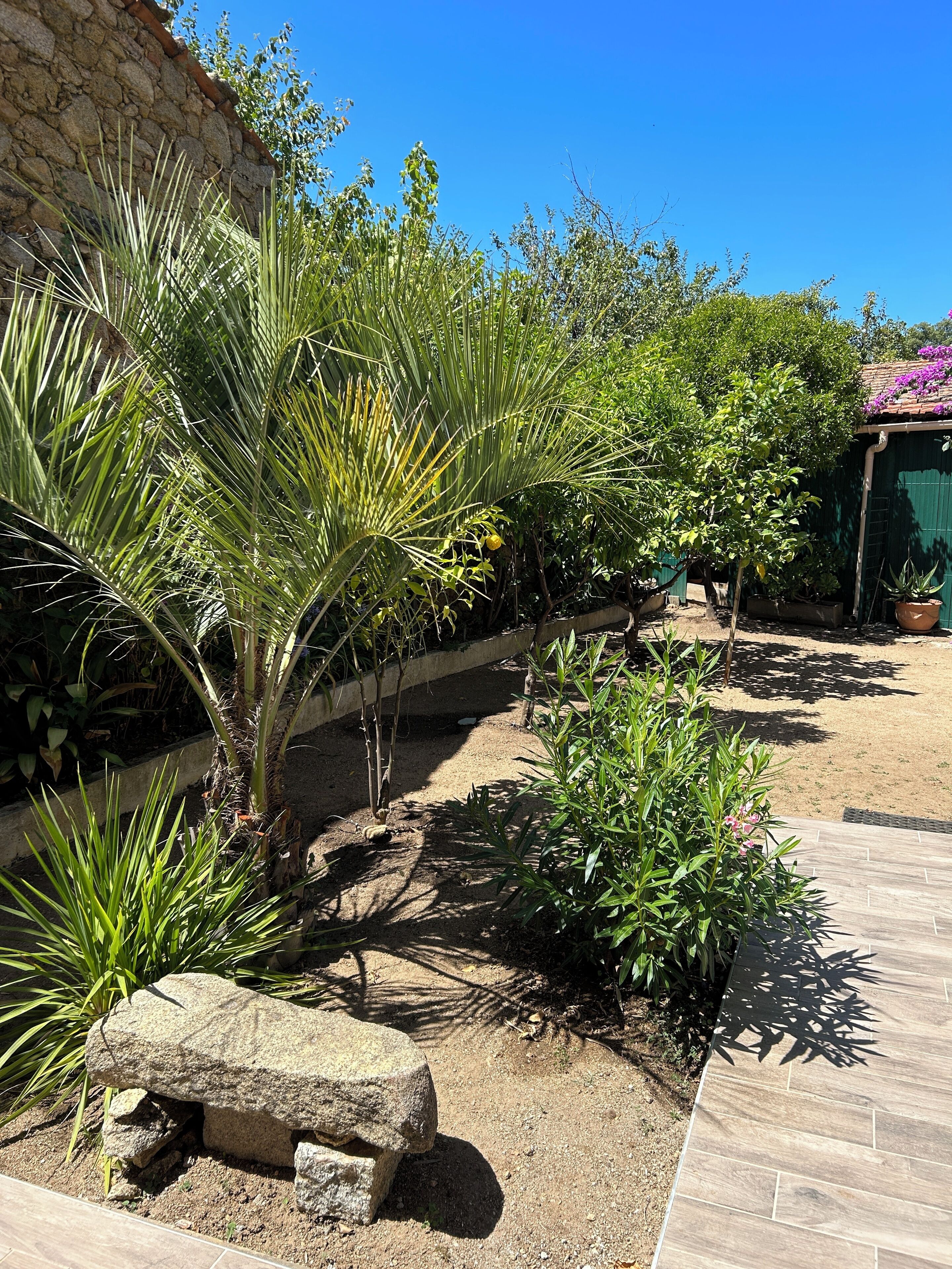 A garden with various plants, a stone bench, and a building with a tiled roof.