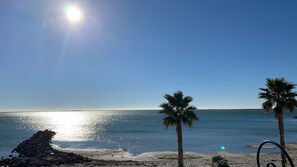 بالقرب من الشاطئ