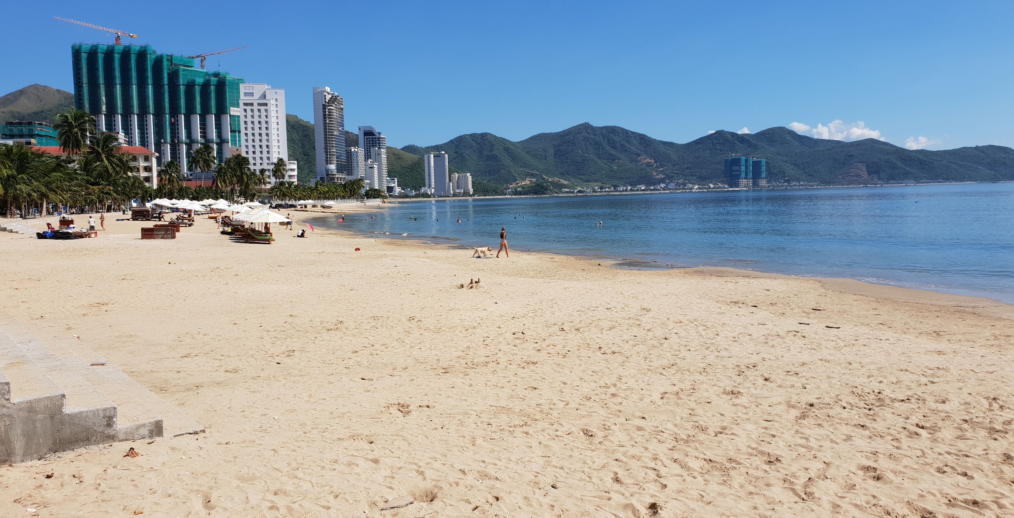 A beach with a clear sky, palm trees, and a mountain range in the background.