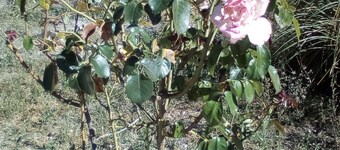 Appart 65m, 2-6 people, 2 bedroom and living room with very comfortable sofa.